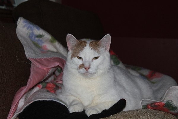 New Camera Dec2010 328